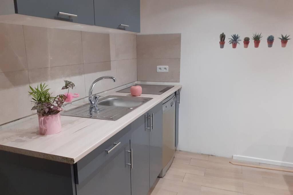 Appartement 3 Pieces Dans Villa Individuelle Falicon Exteriér fotografie